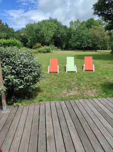 Photo de galerie - Tonte de pelouse - Débroussaillage