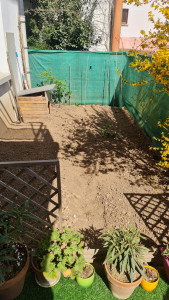 Photo de galerie - Plantation 