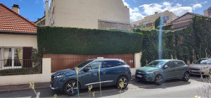 Photo de galerie - Taille de haies et d'arbustes