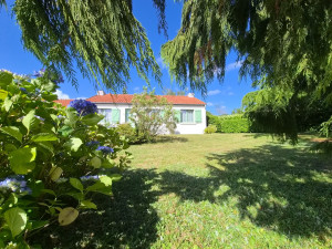 Photo de galerie - Tonte de pelouse