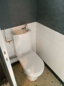 Photo de galerie - Remplacement WC 
