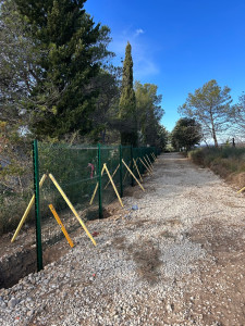 Photo de galerie - Pose de clôture en panneaux rigides 