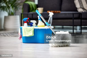Photo de galerie - Nettoyage et entretien :maison,appartement,bureau 