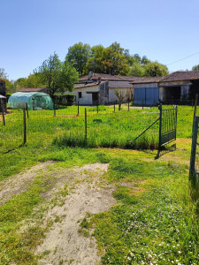 Photo de galerie - Tonte de pelouse - Débroussaillage