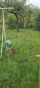 Photo de galerie - Avant 