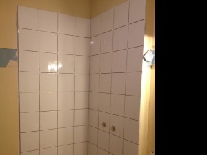 Photo de galerie - carrelage pour douche avec Paroi