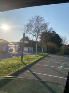 Photo de galerie - Tonte de pelouse - Débroussaillage