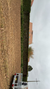 Photo de galerie - Réduction d’une haie de Laurier 