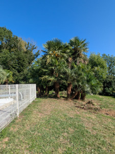 Photo de galerie - Après 