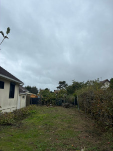 Photo de galerie - Remise en état d’un terrain: taille et débroussaillage 