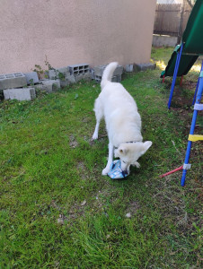 Photo de galerie - Merlin