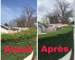 Photo de galerie - Travail soigné 