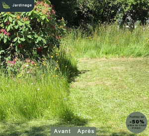 Photo de galerie - Tonte de pelouse - Débroussaillage