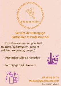 Photo de galerie - Fée tout briller