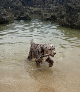 Photo de galerie - Matinée plage