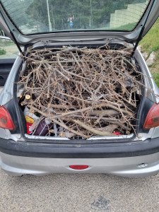 Photo de galerie - Évacuation déchets - Gravats