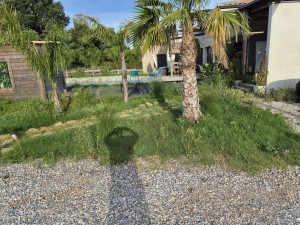 Photo de galerie - Voiçi une photo avant deserbage 