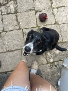 Photo de galerie - Direction la promenade 