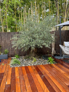 Photo de galerie - Paysagiste - Aménagement du jardin