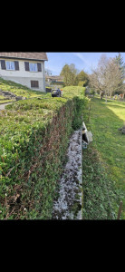 Photo de galerie - Tonte de pelouse - Débroussaillage