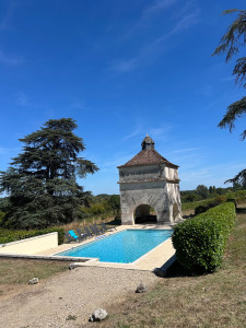 Photo de galerie - Nous proposons un service de pisciniste pour vos locations saisonnières 