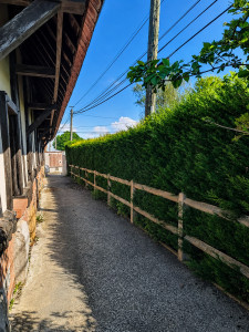 Photo de galerie - Taille de haies et d'arbustes
