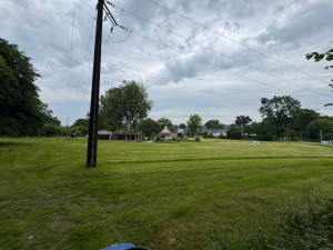 Photo de galerie - Tonte de gazon 