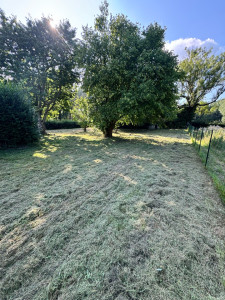 Photo de galerie - Débroussaillage complet d’un grand terrain 