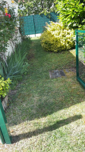 Photo de galerie - Tonte de jardin 