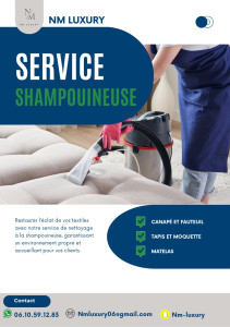 Photo de galerie - Shampouineuse sur canapés, fauteuil, matelas et tapis