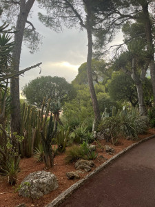 Photo de galerie - Rocaille