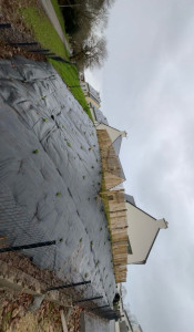 Photo de galerie - Clôture Grillage