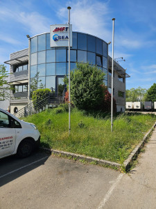 Photo de galerie - Tonte de pelouse - Débroussaillage