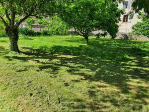 Photo de galerie - Tonte de pelouse - Débroussaillage