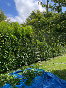 Photo de galerie - .