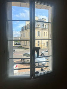 Photo de galerie - Bricolage et multi services