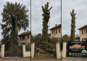 Photo de galerie - élagage d'un arbre 
Merci pour la confiance ?