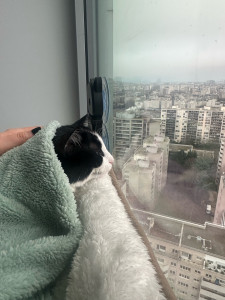Photo de galerie - Chat au chaud 