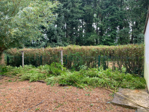 Photo de galerie - Taille de haie après 