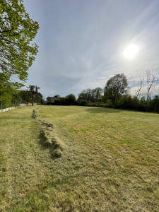 Photo de galerie - Tonte de pelouse dans un terrain 