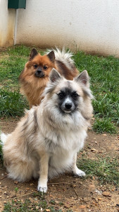 Photo de galerie - Uko et uki ☺️