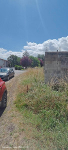 Photo de galerie - Tonte de pelouse - Débroussaillage