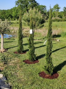 Photo de galerie - Paysagiste - Aménagement du jardin
