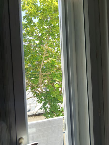 Photo de galerie - Nettoyage des vitres 