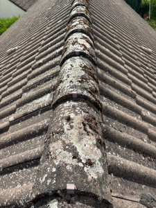 Photo de galerie - Couverture - Toiture