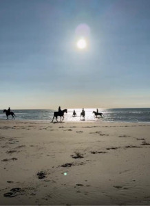 Photo de galerie - Coatch de vie et juriste . je vous accompagne à chaque moment de votre vie !