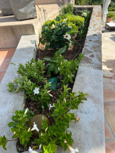 Photo de galerie - Plantation fleurs 