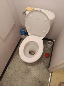 Photo de galerie - Nettoyage après déménagement 