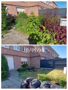 Photo de galerie - Tonte de pelouse - Débroussaillage