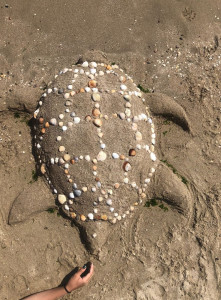 Photo de galerie - Tortue géante (sable et coquillage)